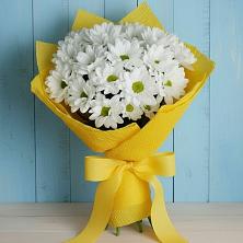 Букет цветов из:  Хризантемы в Бурибай