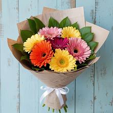Букет цветов из:  Герберы #REPLACE_PRED# Бурибай
