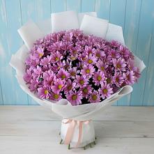 Букет цветов из:  Хризантемы в Бурибай