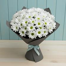 Букет цветов из:  Хризантемы в Бурибай