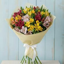 Букет цветов из:  Альстромерии в Бурибай