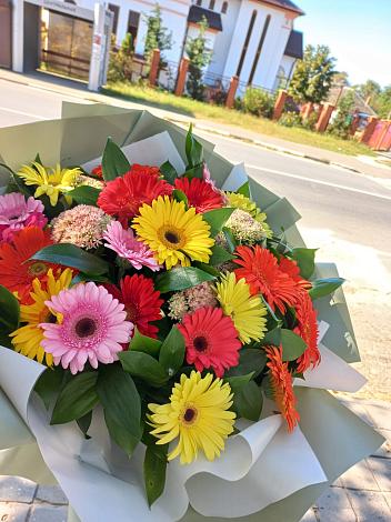 Букет цветов из: Герберы в Бурибай